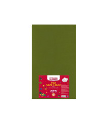 Fetru, 50x30cm, 180g/m2, verde oliva, 10 foi, MAXI